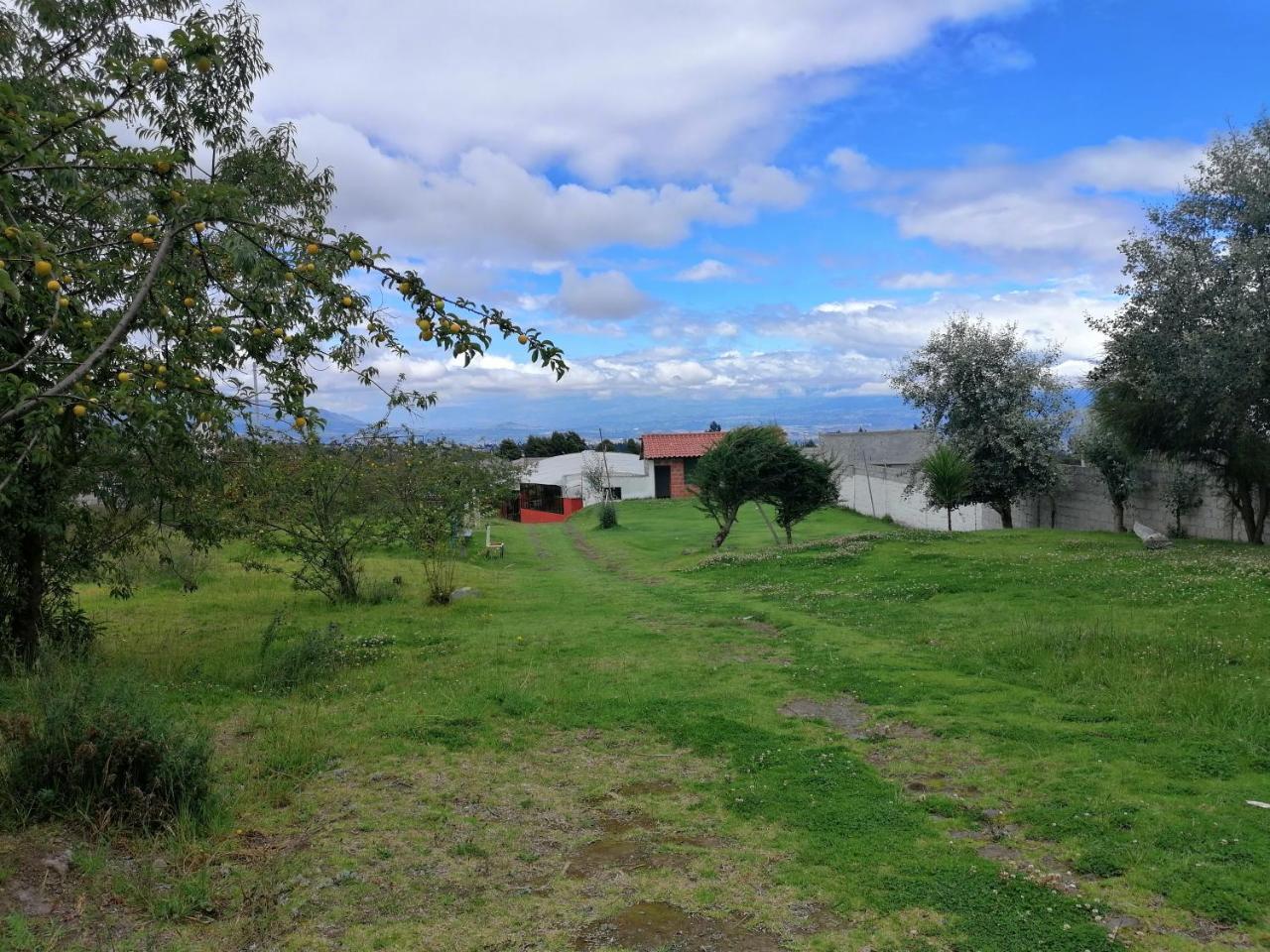 Hosteria El Tisaleno Амбато Екстериор снимка